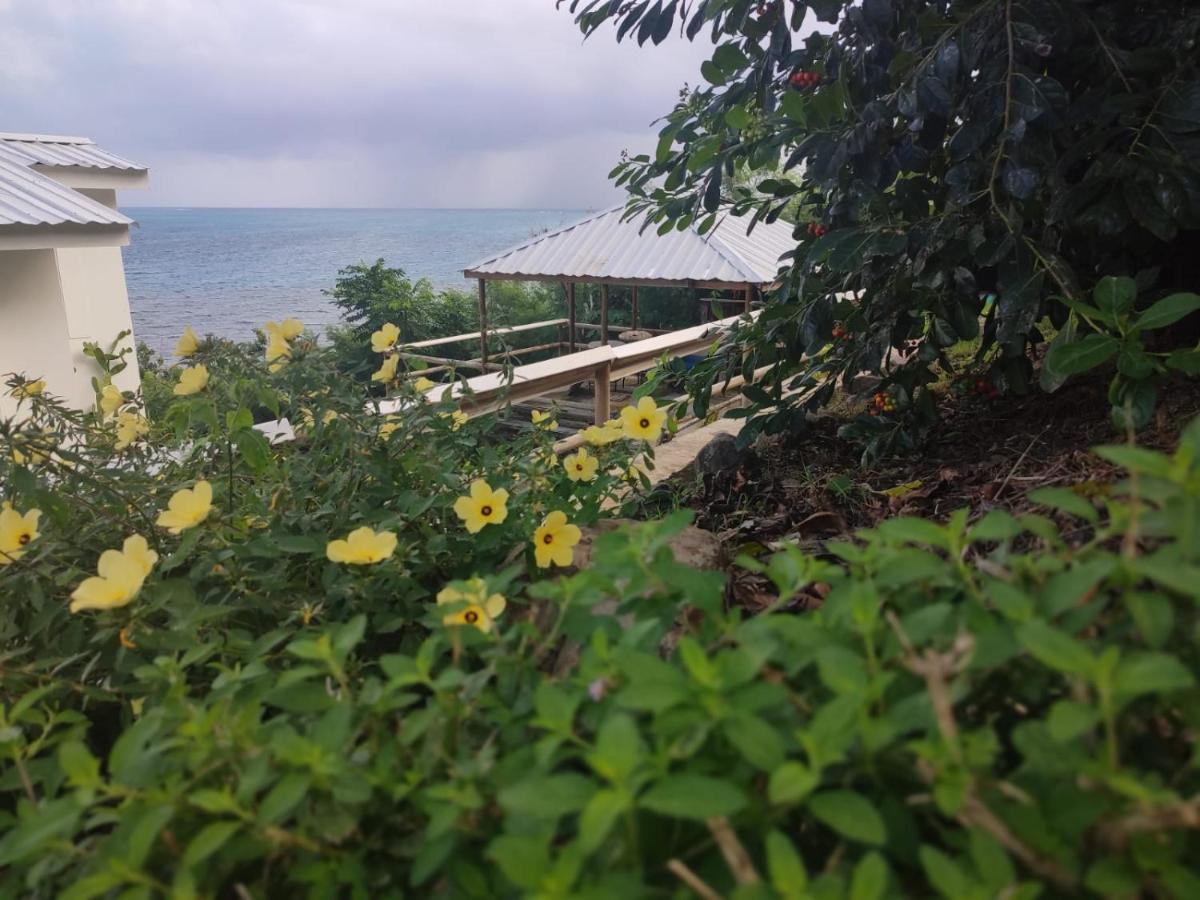 Maracaibo View Hotel Bahia Maracaibo Eksteriør billede